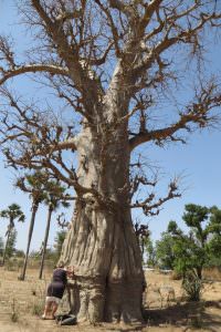 Senegal-1-1