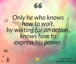 Falco Tarassaco’s Quote: Only he who knows how to wait, by waiting for an action, knows how to express his power.