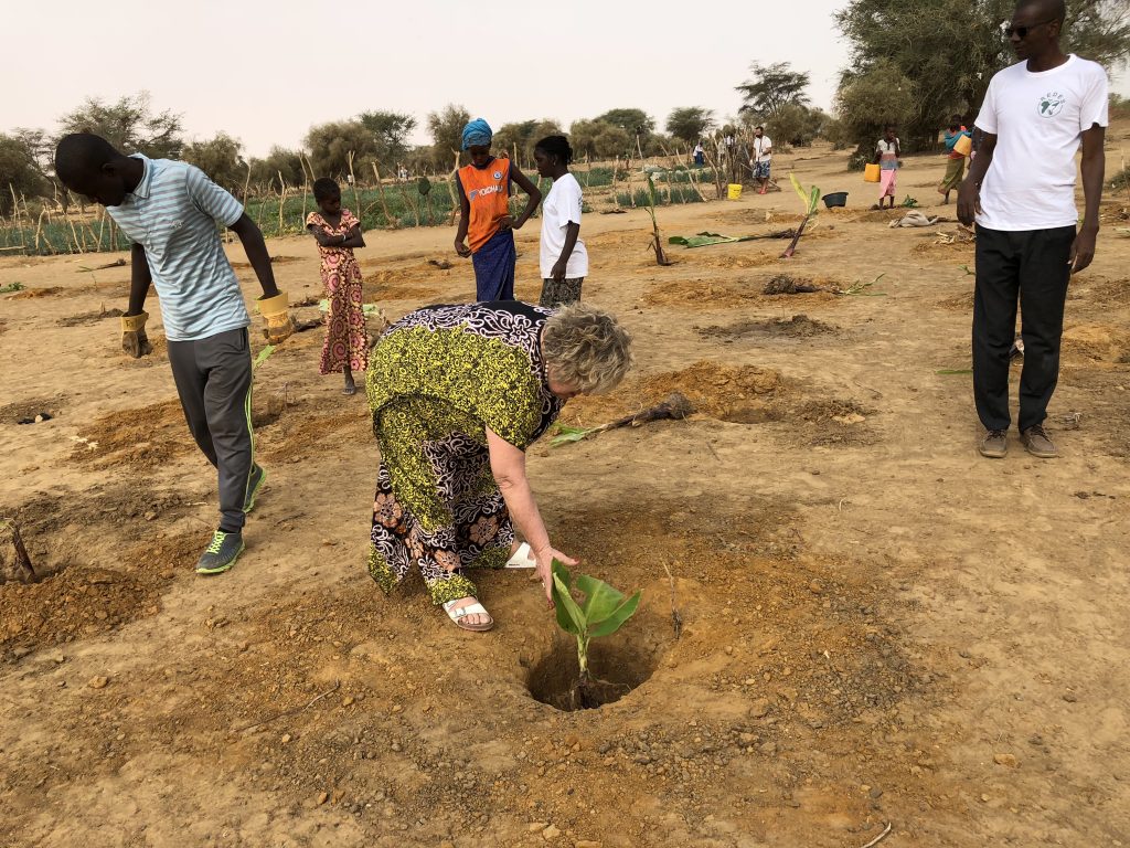 Pellicano helps to plant mango plants for the reforestation of Senegal in the community of Guédé Chantier